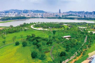 2022年深圳城管领域十大亮点工作出炉