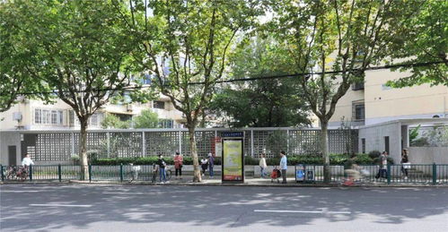 城市更新 老旧社区改造 上海里弄里的口袋公园